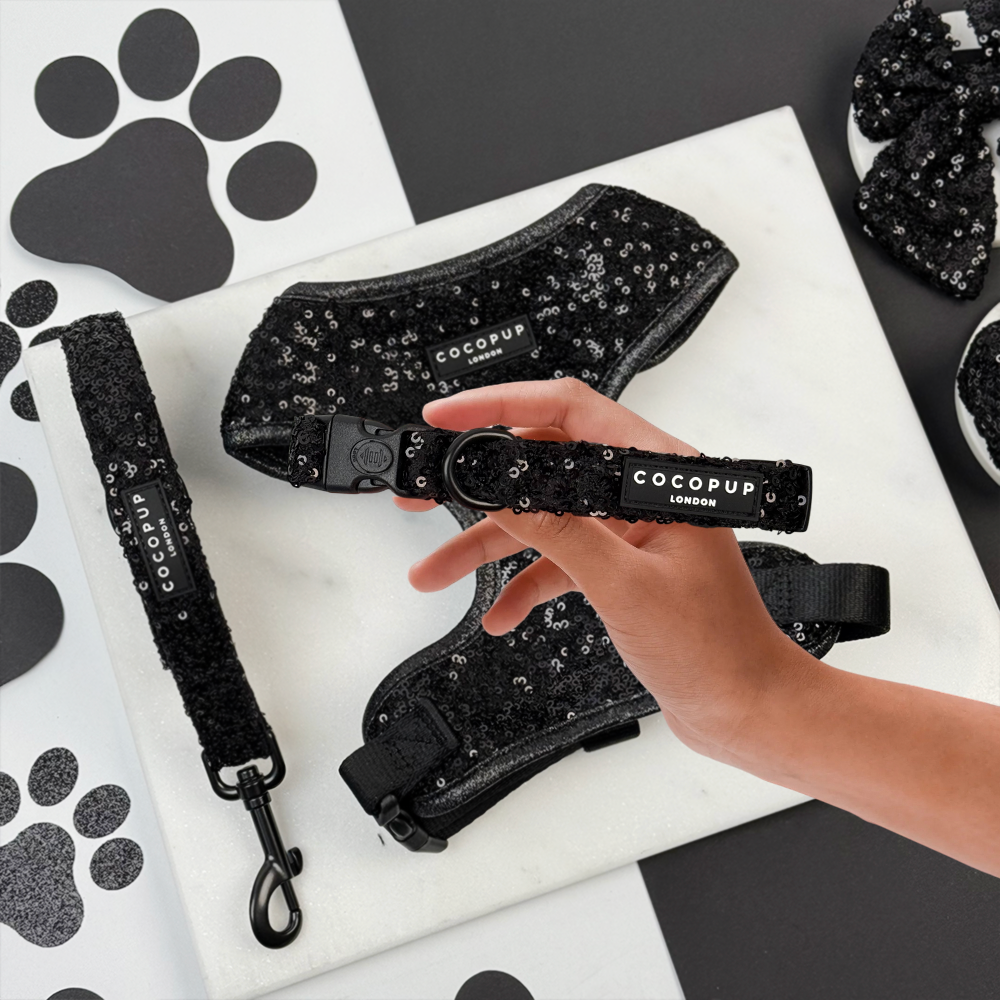 Limited Edition Sparkle Season Black Adjustable Neck Harness, Lead & Collar Bundle