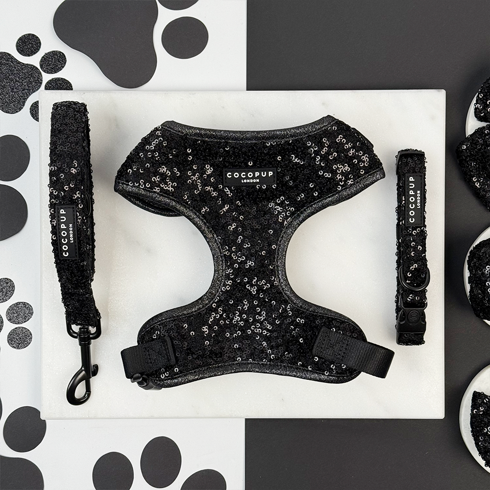 Limited Edition Sparkle Season Black Adjustable Neck Harness, Lead & Collar Bundle