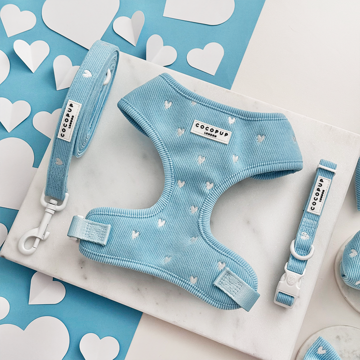 Blue Heartstrings Cord Adjustable Neck Harness, Lead & Collar Bundle