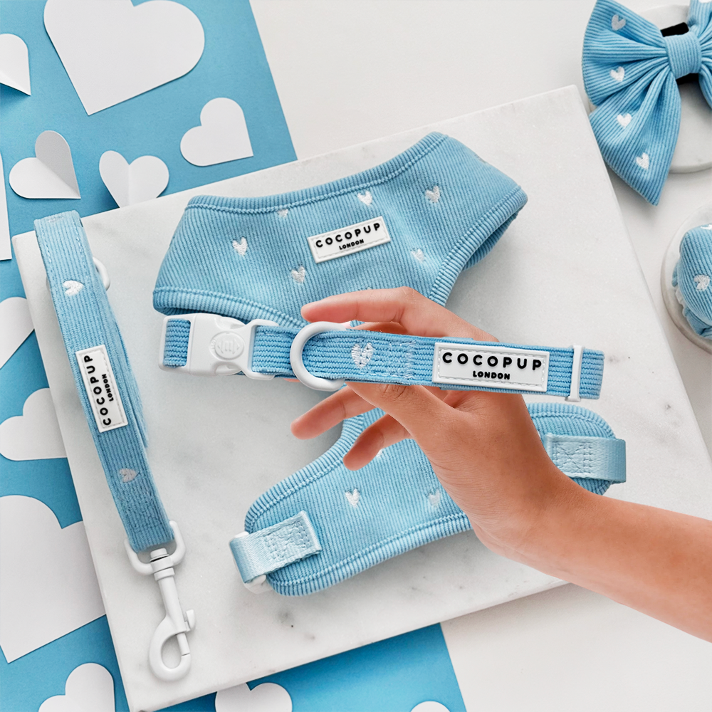 Blue Heartstrings Cord COLLAR