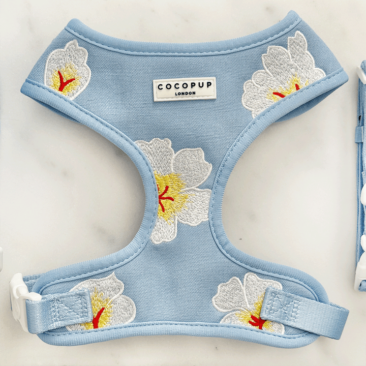 Blue linen style fabric Dog Harness with white hibiscus flower design.