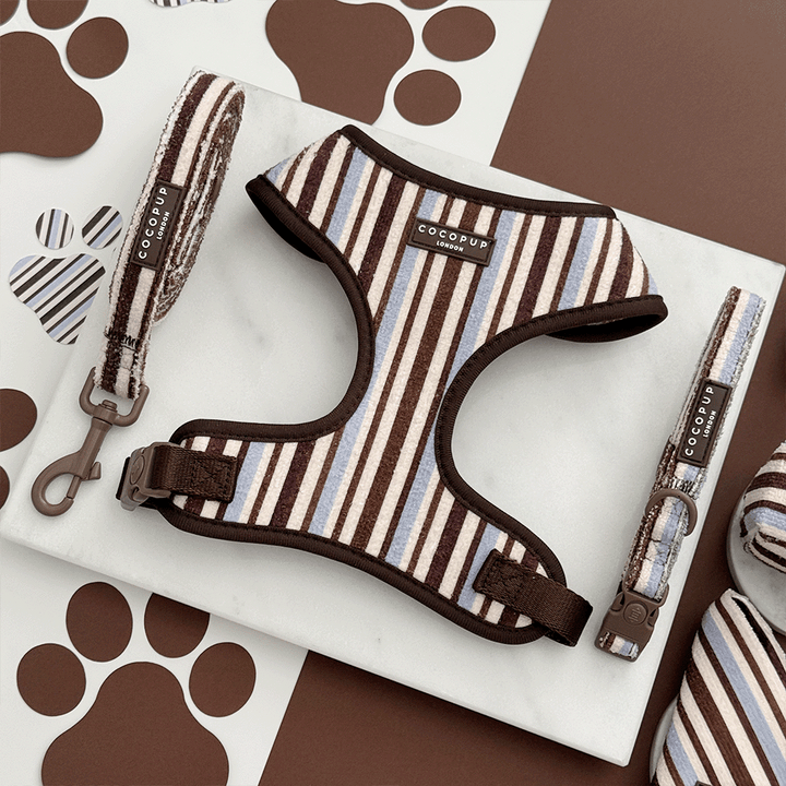 Brown, blue and white striped Dog Harness, Lead & Collar. With brown hardware and Cocopup logo badge.