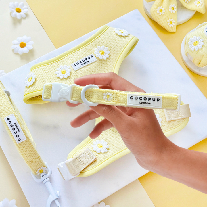 Buttercup Pup COLLAR