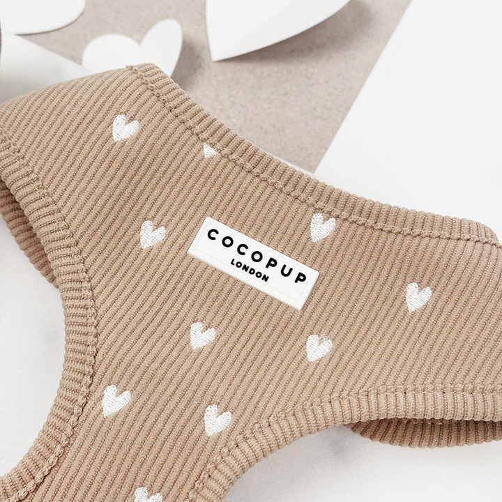 Chai Hearts Adjustable Neck Harness, Lead & Collar Bundle