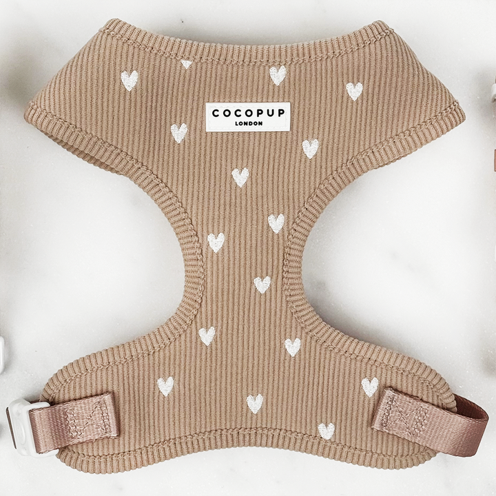 Chai Hearts Adjustable Neck HARNESS