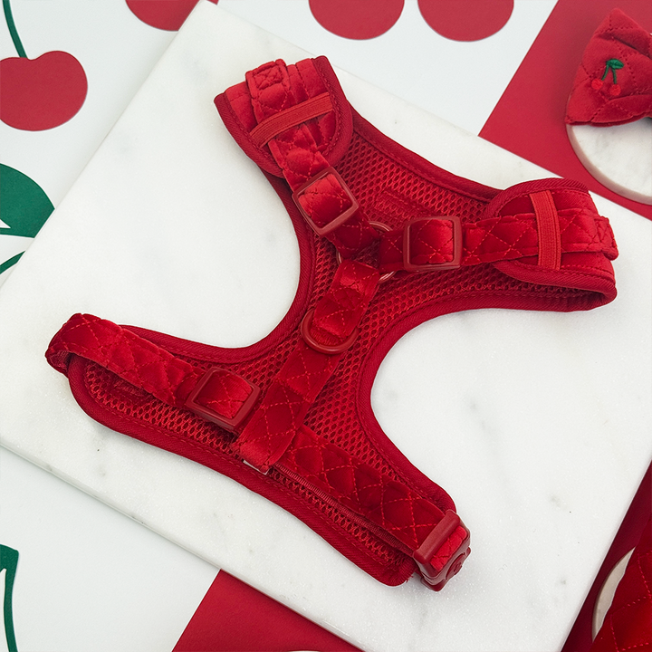 Cherry Velvet Crush Adjustable Neck Harness, Lead & Collar Bundle