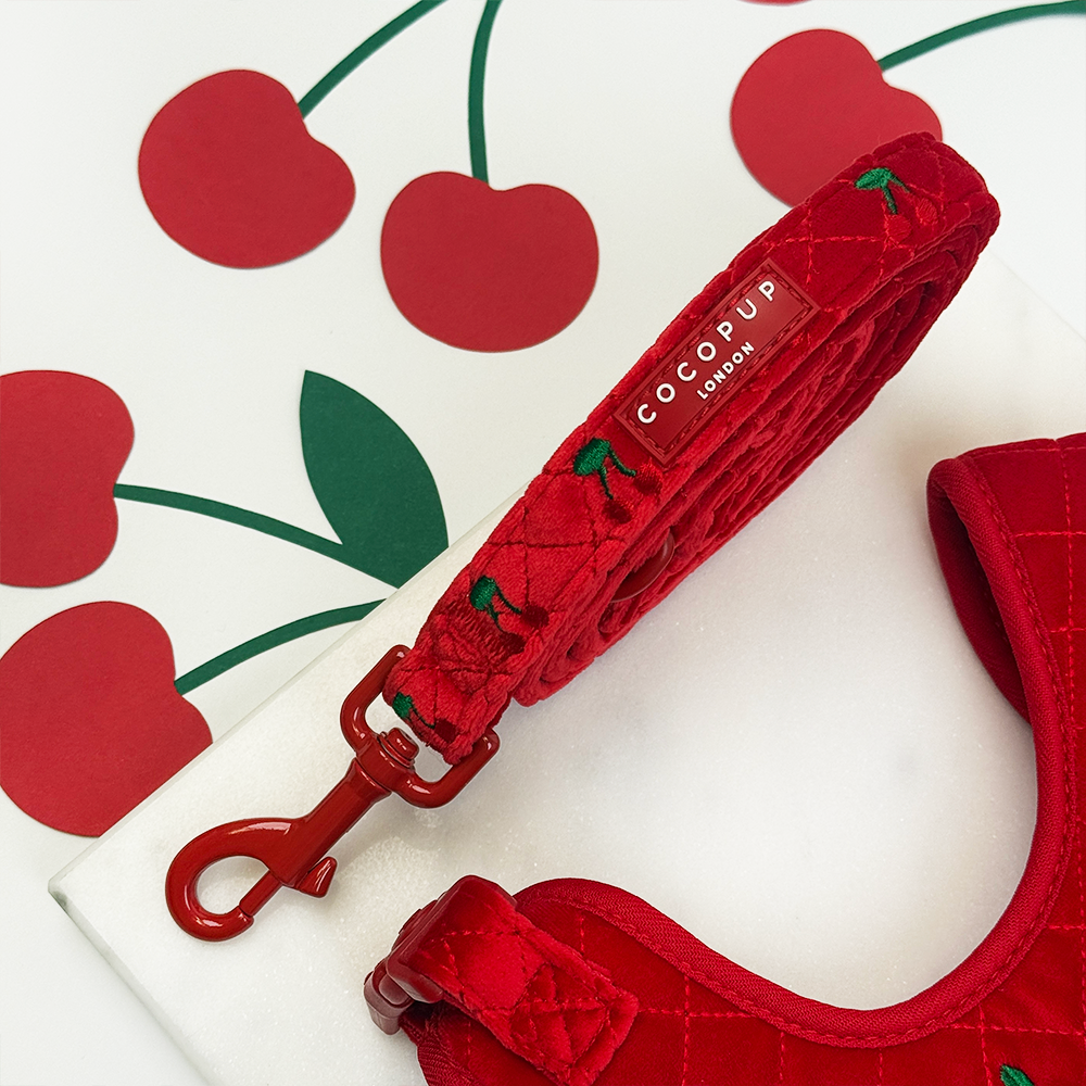 Cherry Velvet Crush Adjustable Neck Harness, Lead & Collar Bundle