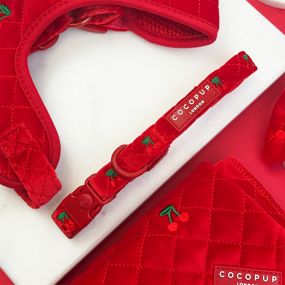 Cherry Velvet Crush COLLAR