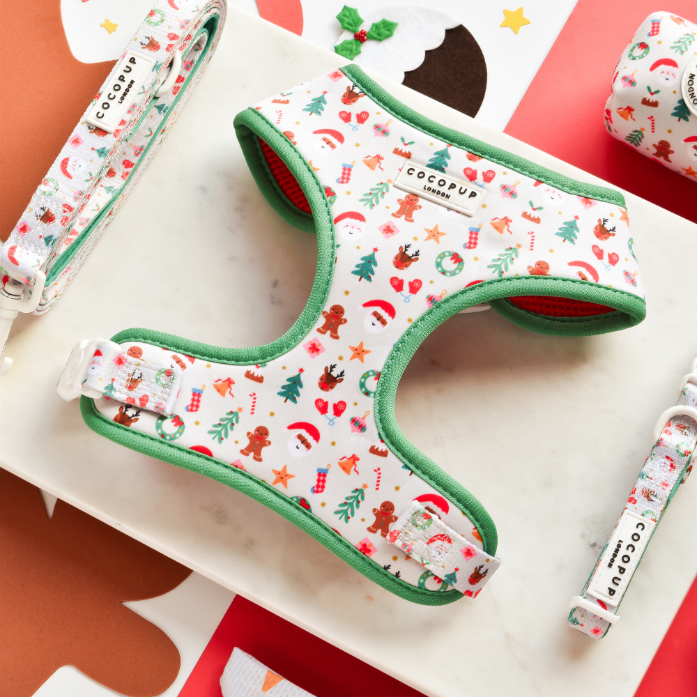 Christmas Mystery Adjustable Neck HARNESS