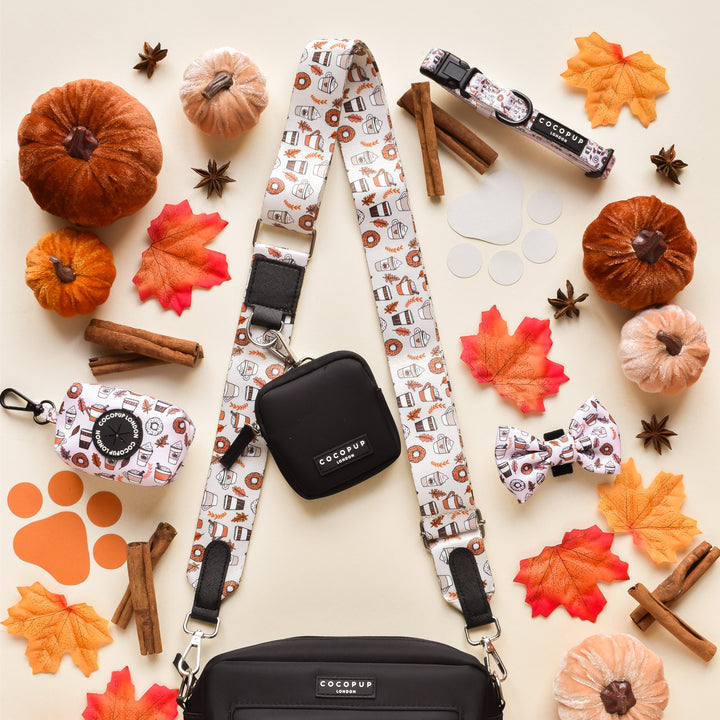 A flat lay of autumn-themed items featuring a dog leash, harness, collar, waste bag holder, and bow tie from Cocopup London with a charming coffee and pumpkin pattern. Scattered around are faux pumpkins, cinnamon sticks, star anise, orange paw prints, red maple leaves—and an Autumn Puppuccino Bag Strap for your furry friend.