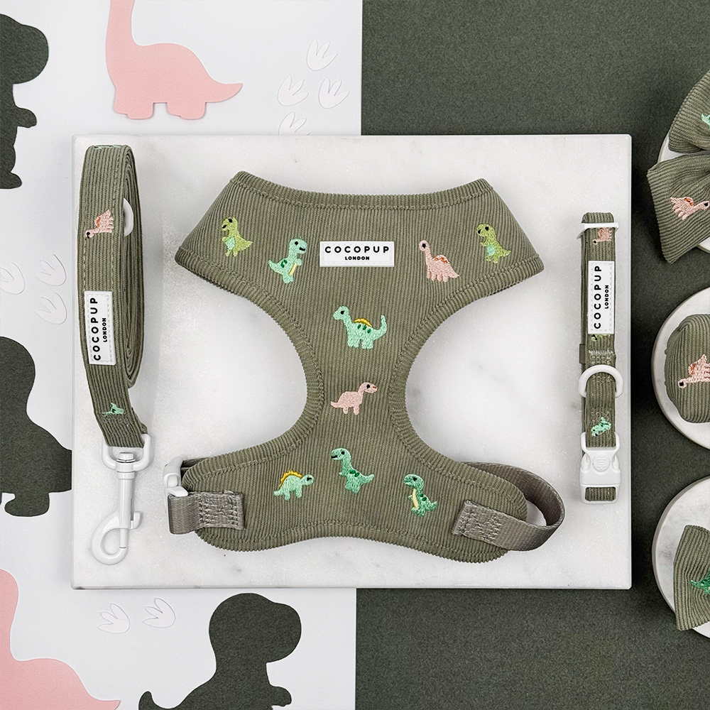 Green corduroy material Dog Lead, Harness & Collar with embroidered dinosaurs. 