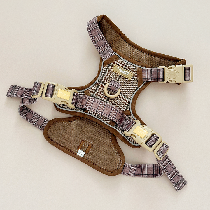 Explore Harness - Pup Plaid