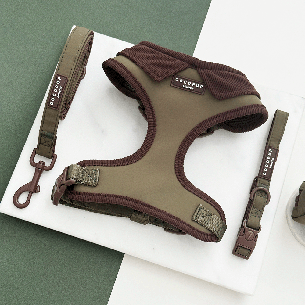 Farmhouse Moss Green Adjustable Neck Harness, Lead & Collar Bundle