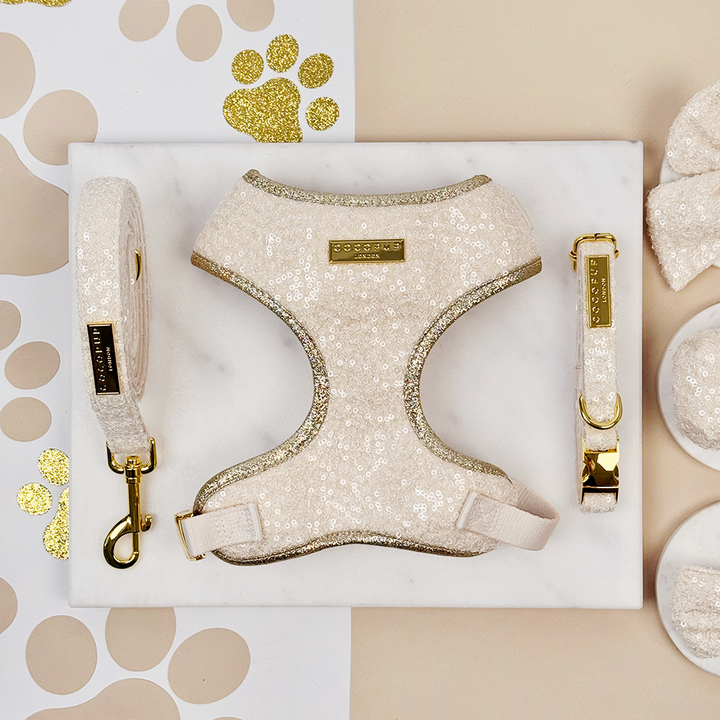 Limited Edition Sparkle Season Gold Adjustable Neck Harness, Lead & Collar Bundle