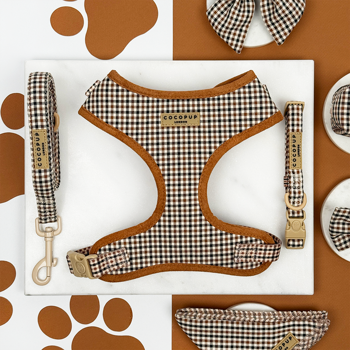 Heritage Check Adjustable Neck Harness, Lead & Collar Bundle