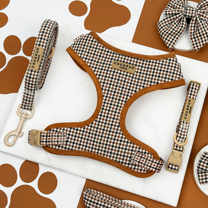 Heritage Check Adjustable Neck Harness, Lead & Collar Bundle