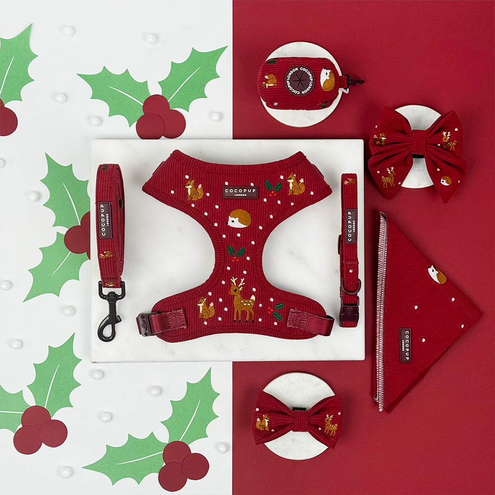 Holly Jolly Trails Adjustable Neck Harness, Lead & Collar Bundle