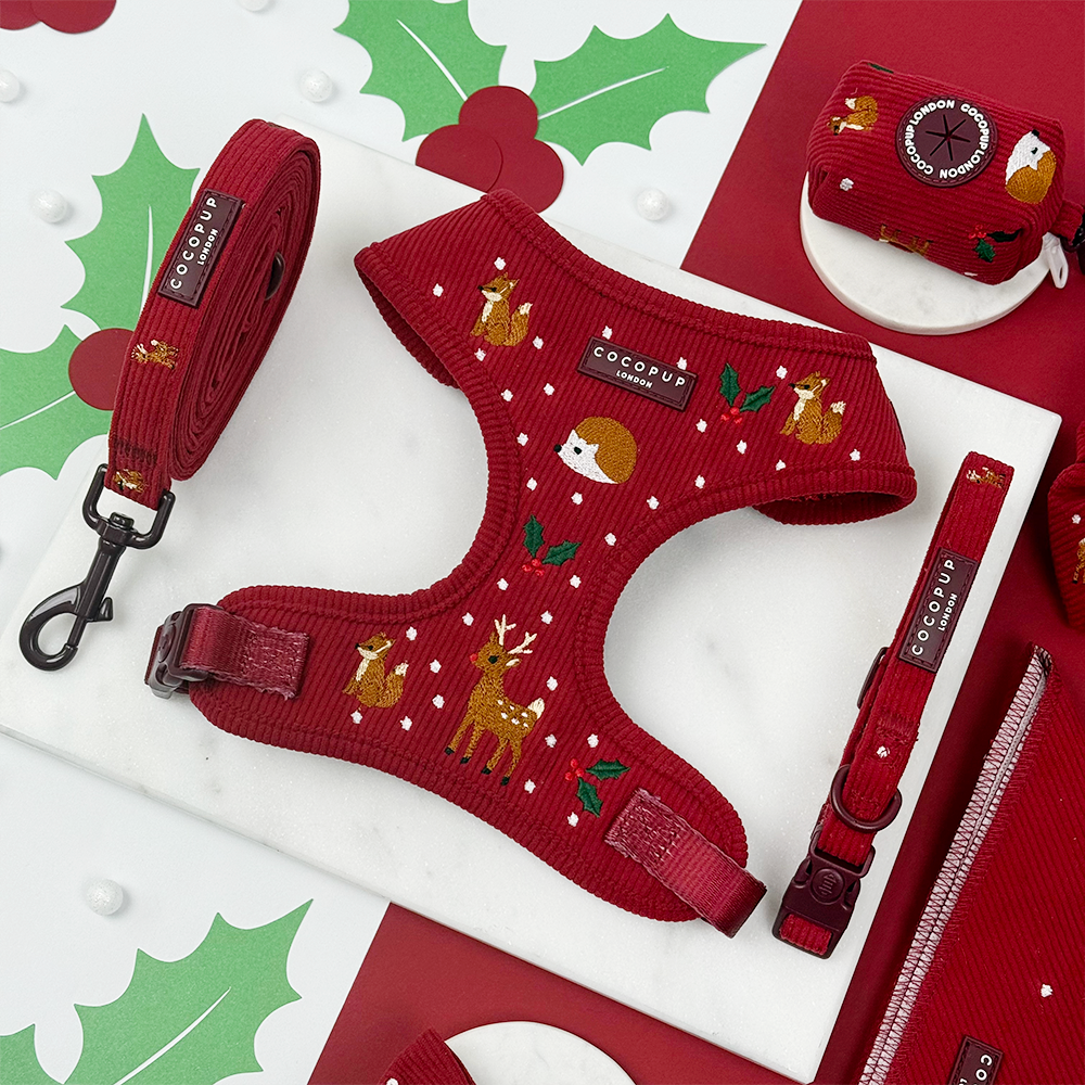 Holly Jolly Trails Adjustable Neck Harness, Lead & Collar Bundle