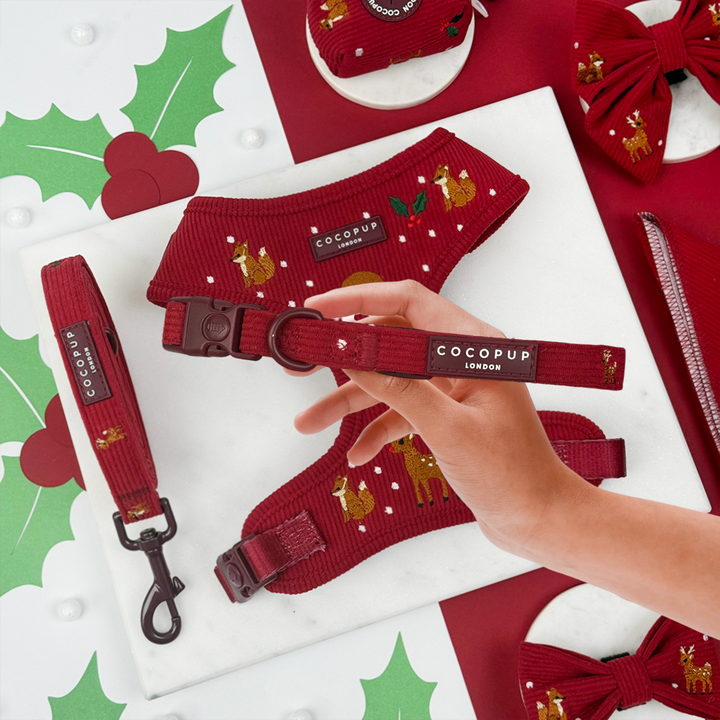 Holly Jolly Trails Adjustable Neck Harness, Lead & Collar Bundle