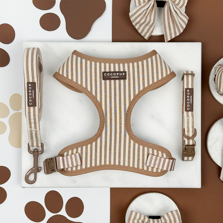 Brown and beige striped dog harness, lead and collar set.