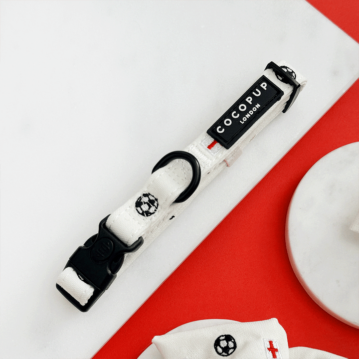 White Dog Collar with embroidered footballs and England flags.