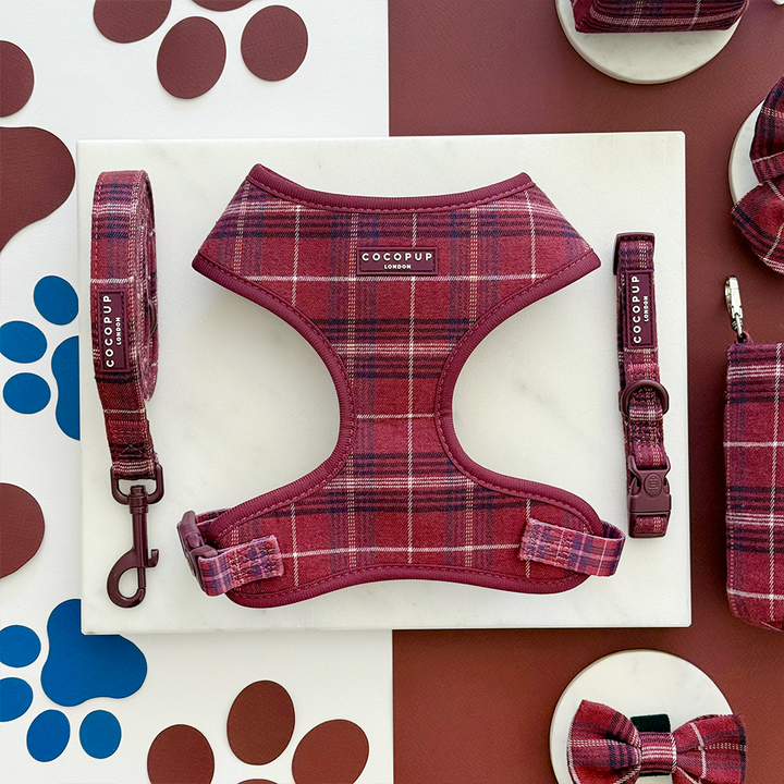 Mulberry Plaid Adjustable Neck Harness, Lead & Collar Bundle