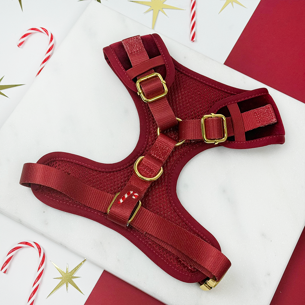 The Muttcracker Adjustable Neck HARNESS