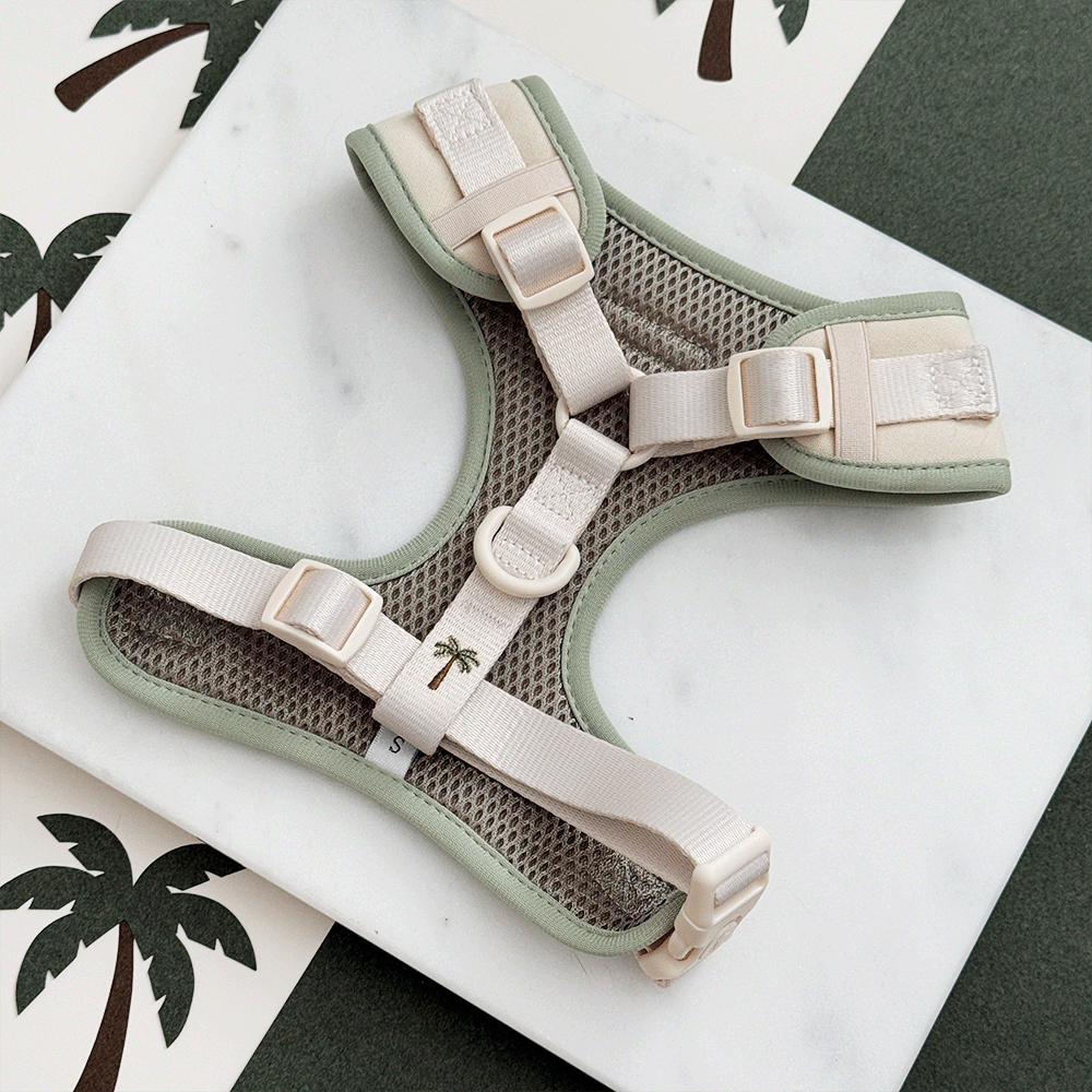 Palm Springs Adjustable Neck Harness, Lead & Collar Bundle