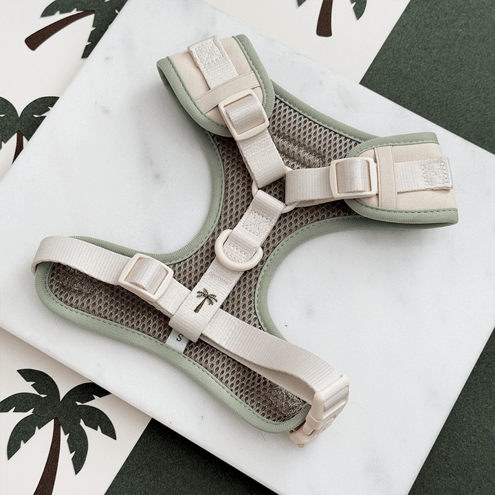 Palm Springs Adjustable Neck Harness, Lead & Collar Bundle