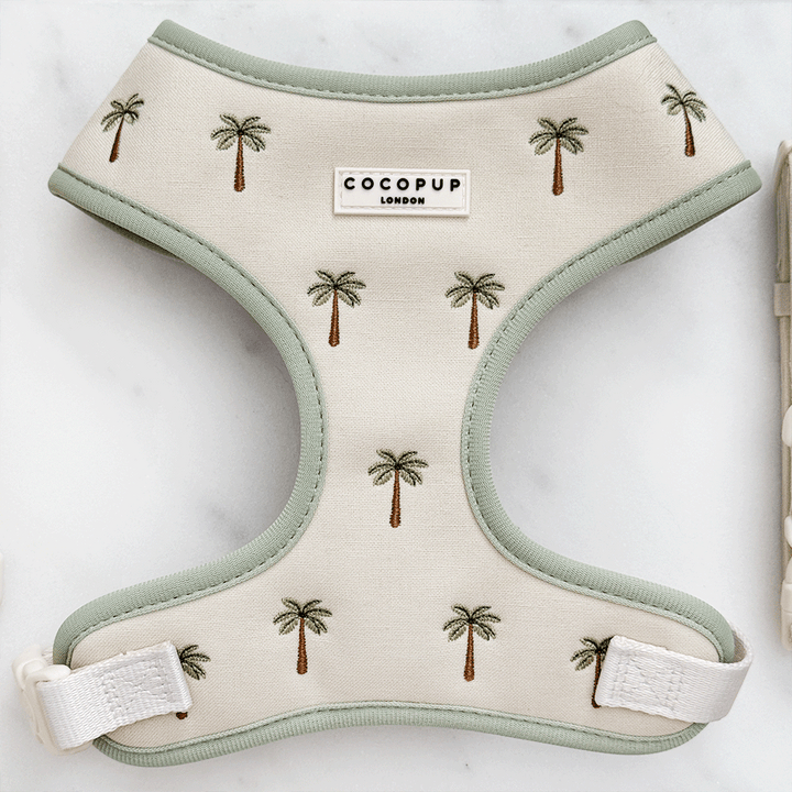 Palm Springs Adjustable Neck Harness, Lead & Collar Bundle