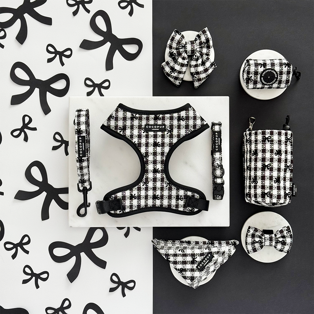 Pup in Paris Adjustable Neck Harness, Lead & Collar Bundle