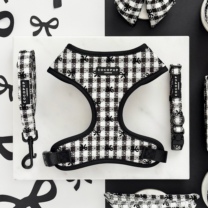 Pup in Paris Adjustable Neck Harness, Lead & Collar Bundle