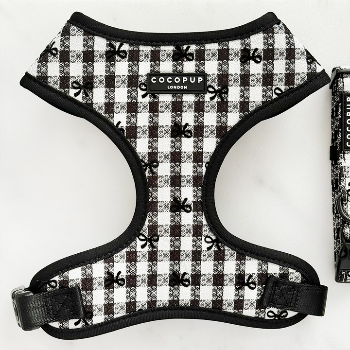 Pup in Paris Adjustable Neck Harness, Lead & Collar Bundle