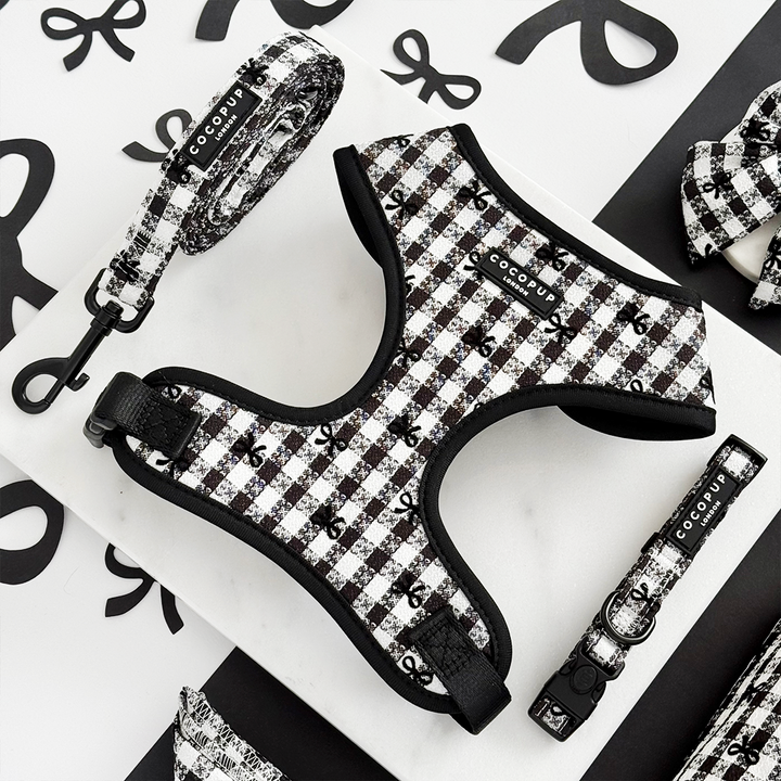 Pup in Paris Adjustable Neck Harness, Lead & Collar Bundle