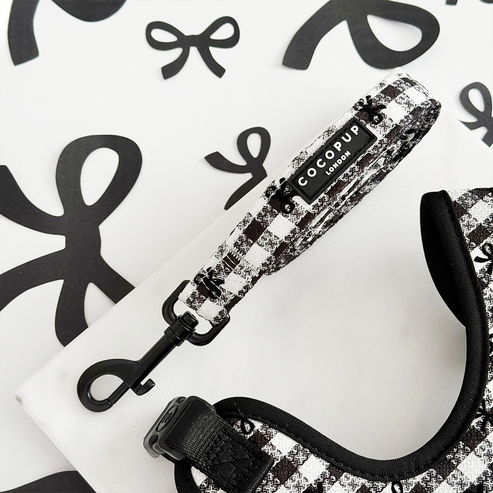 Pup in Paris Adjustable Neck Harness, Lead & Collar Bundle