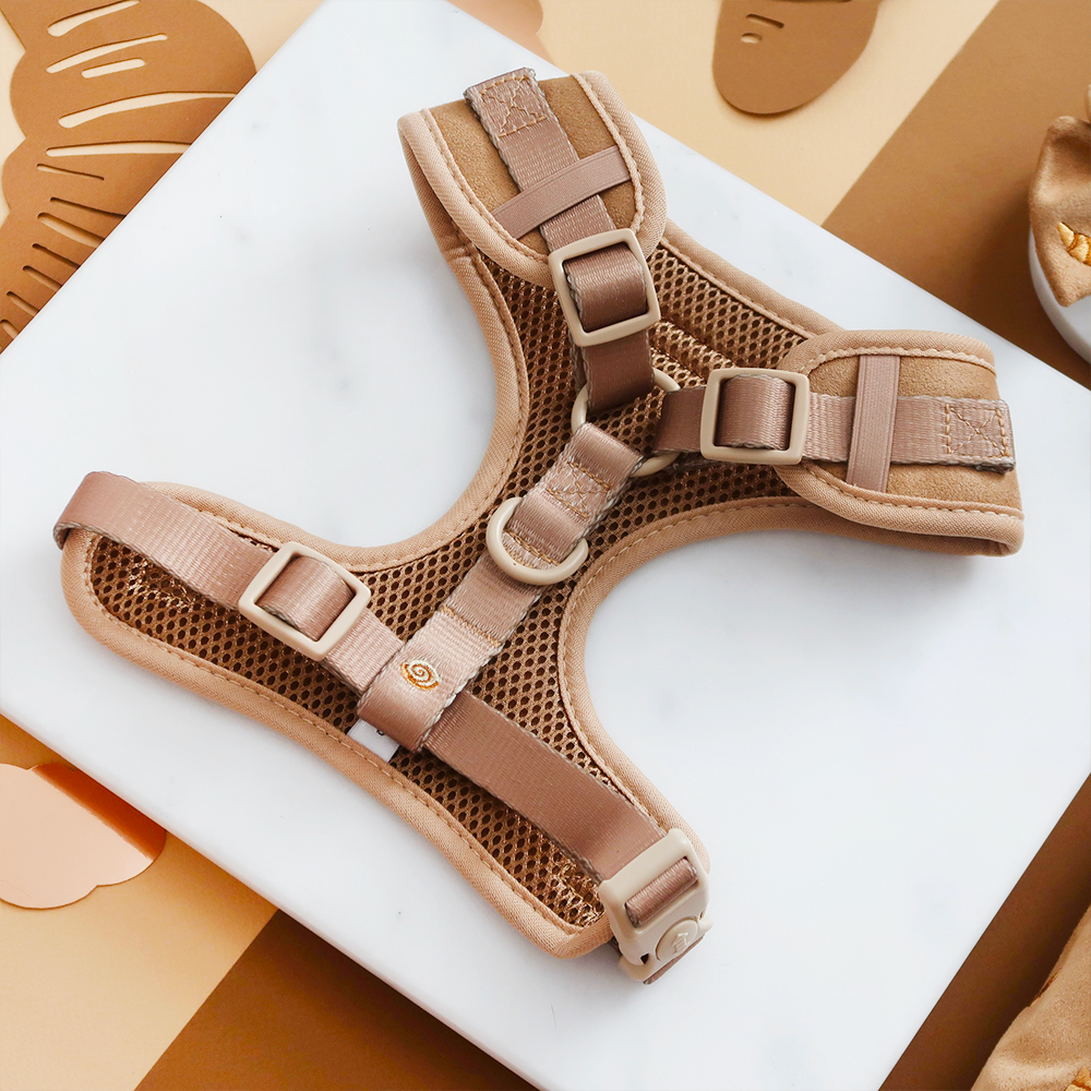 Pawtisserie Adjustable Neck HARNESS