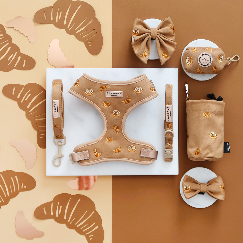 Pawtisserie Adjustable Neck Harness, Lead & Collar Bundle