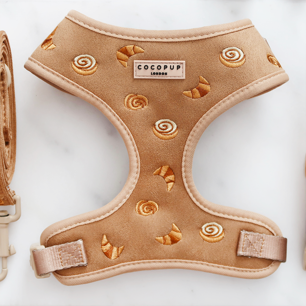 Pawtisserie Adjustable Neck Harness, Lead & Collar Bundle