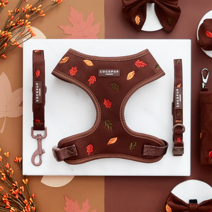 Pawtumn Leaves COLLAR