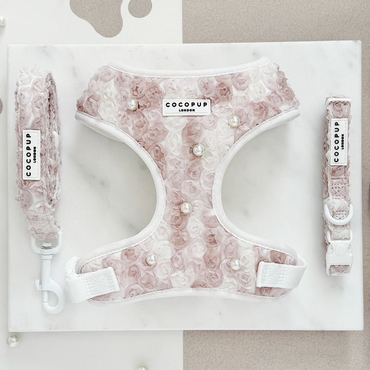 Pearly Pup Adjustable Neck Harness, Lead & Collar Bundle