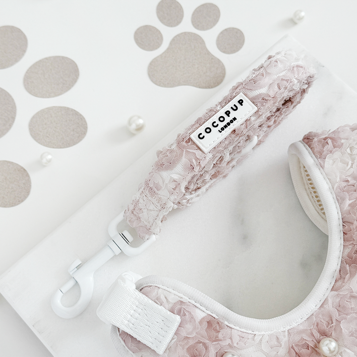 Pearly Pup Adjustable Neck Harness, Lead & Collar Bundle