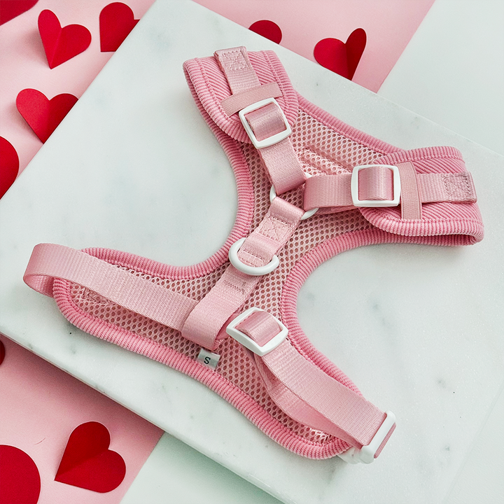 Pink Heartstrings Cord Adjustable Neck Harness, Lead & Collar Bundle