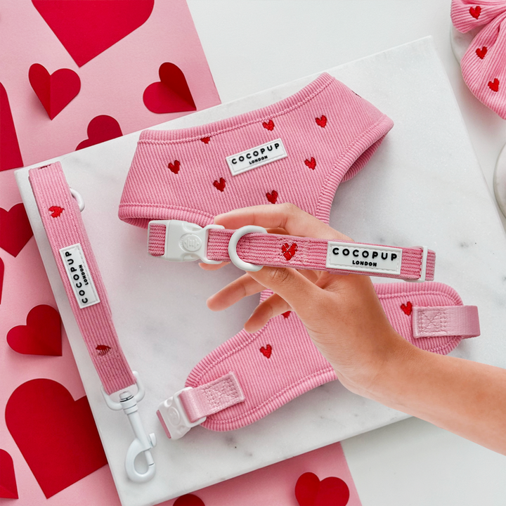 Pink Heartstrings Cord COLLAR