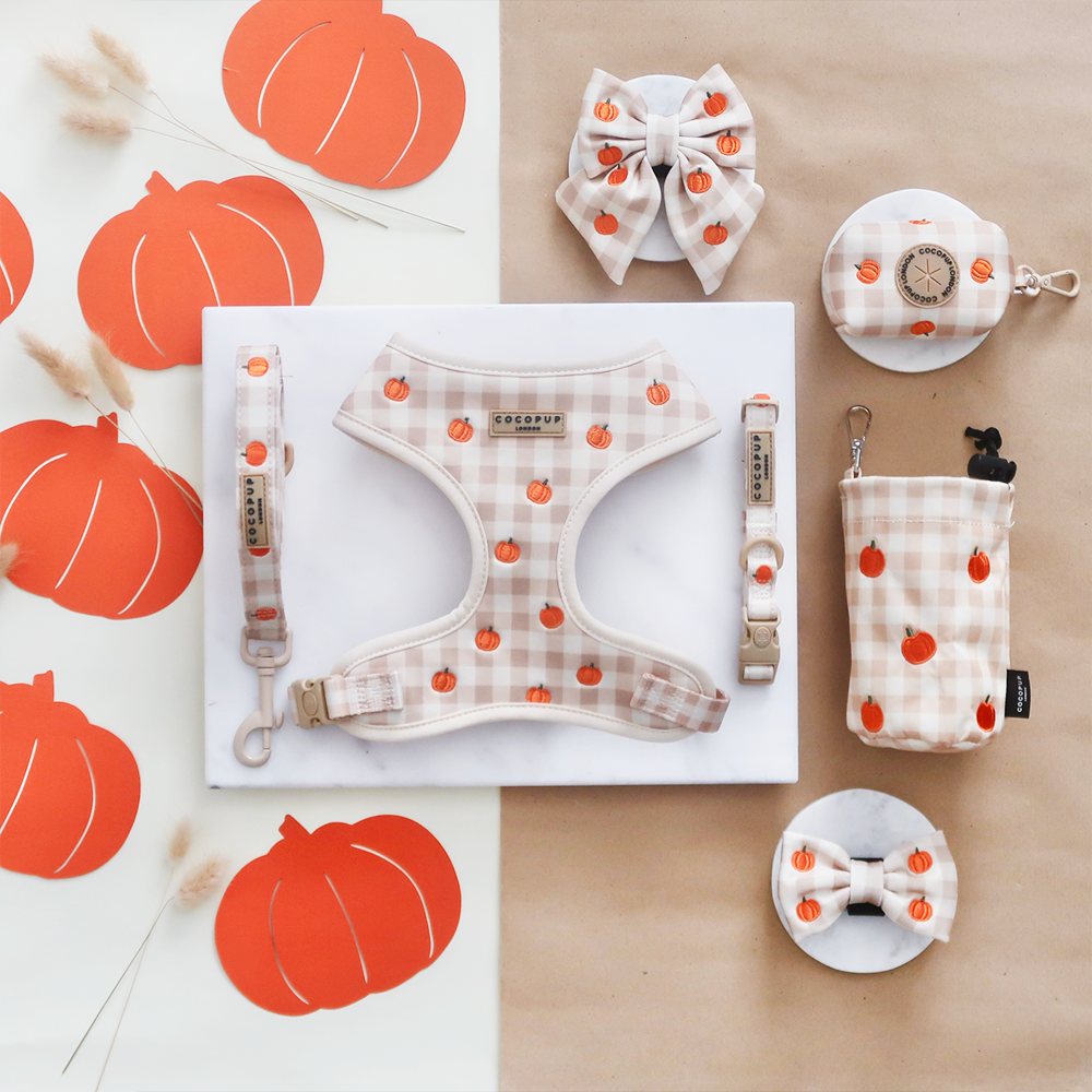 Pumpkin Patch COLLAR