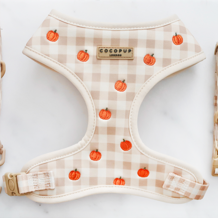 Pumpkin Patch Adjustable Neck HARNESS