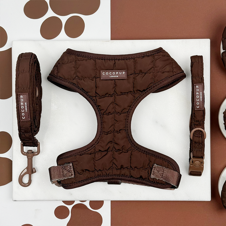 Espresso Quilted Adjustable Neck Harness, Lead & Collar Bundle