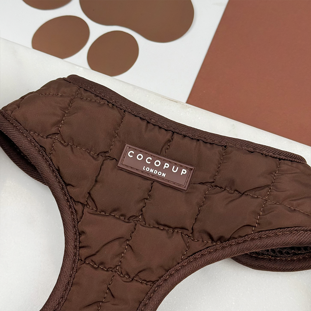 Espresso Quilted Adjustable Neck Harness, Lead & Collar Bundle