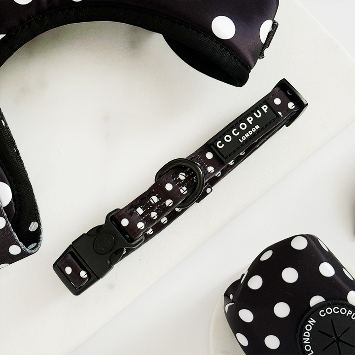 Satin Polka Dot Adjustable Neck Harness, Lead & Collar Bundle