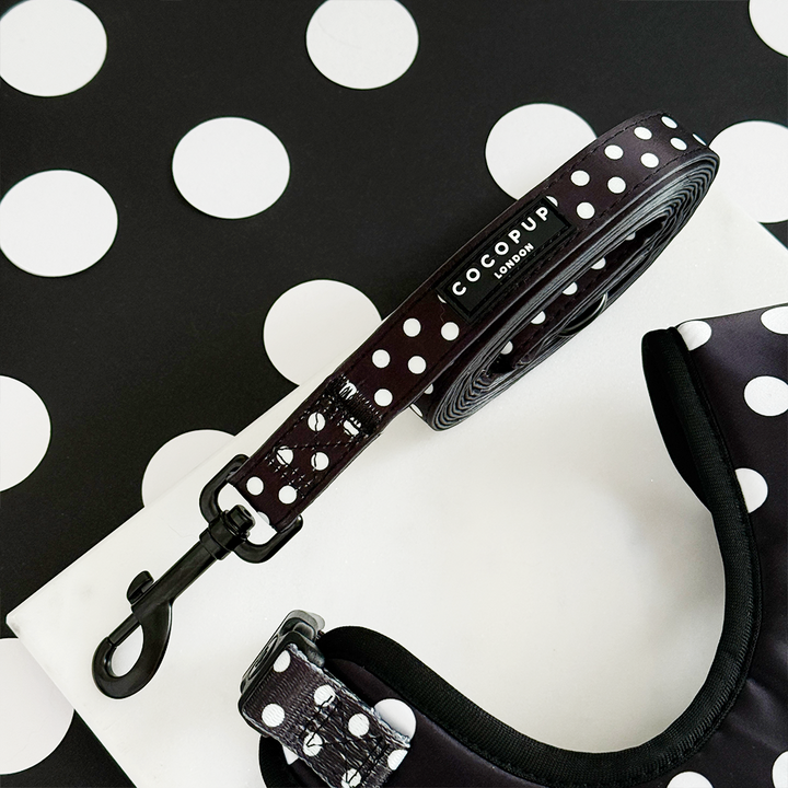 Satin Polka Dot Lead