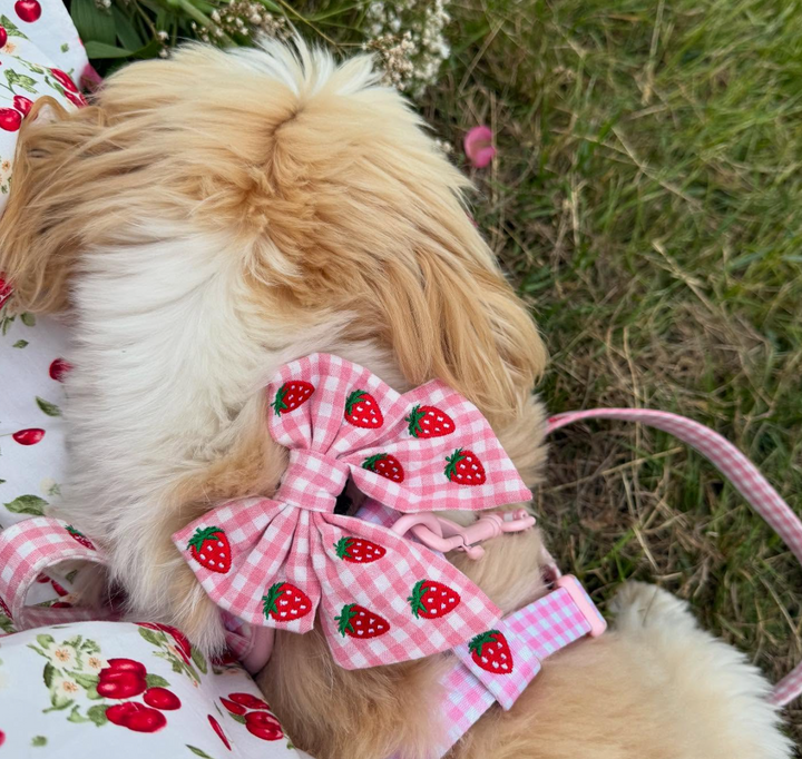 Strawberry Picnic Pup Sailor Bow Tie